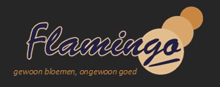 Naar de startpagina
